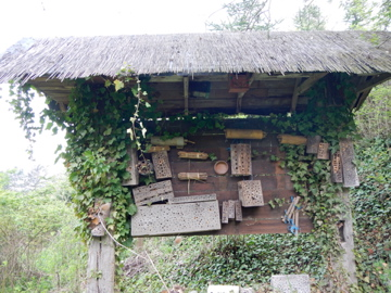 Insektenhotel Letten