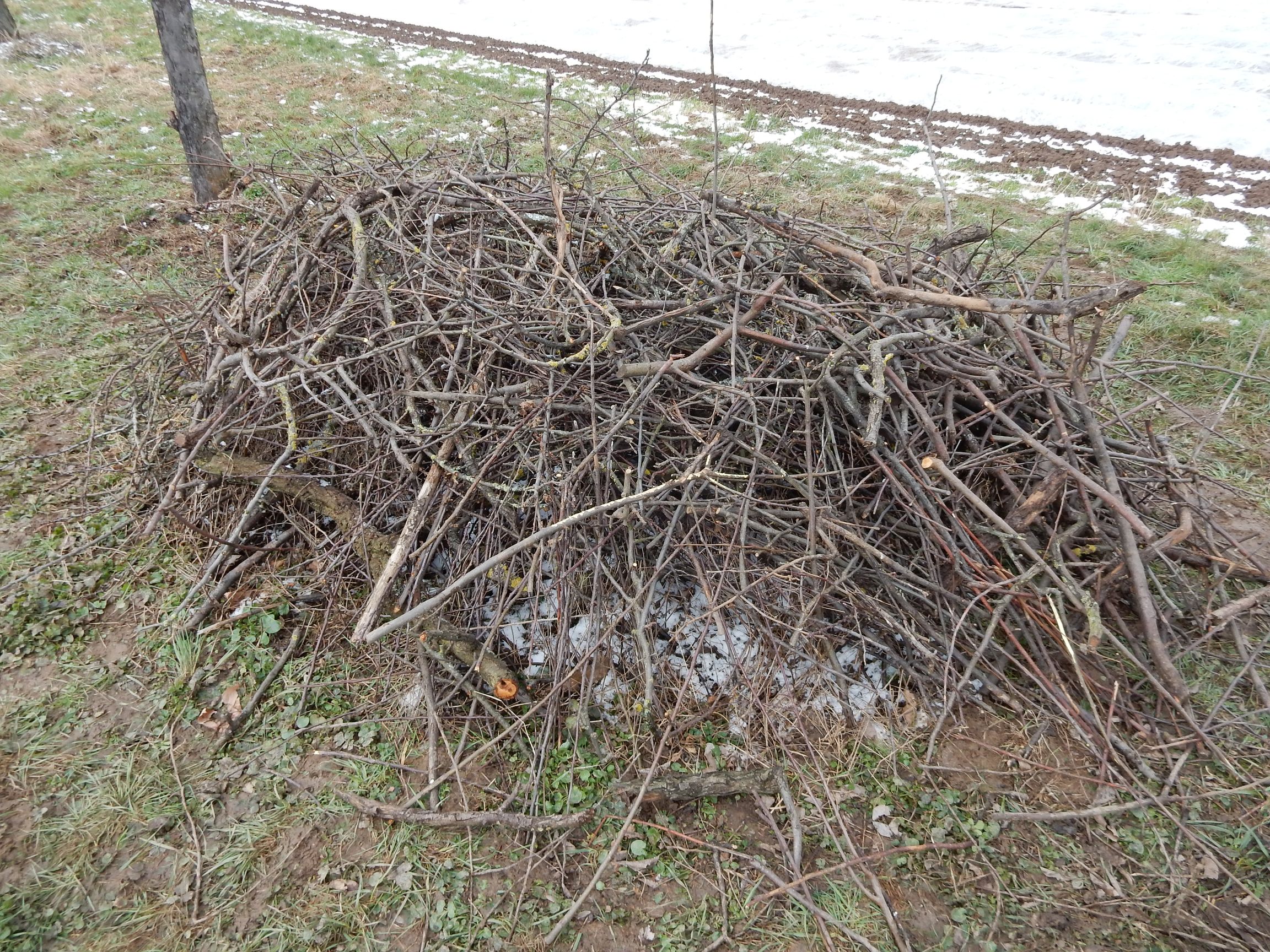 Igelnest